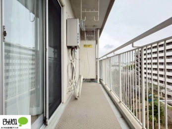 ���ց@�z������̗ǂ��L�X�o���R�j�[�B