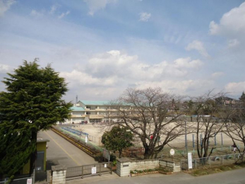 ���ӊ��@�s���s���C���䐼���w�Z �k��3���B 240m