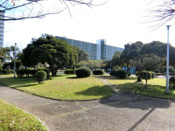 ���ӊ��@�^���������� �k��6���B 470m