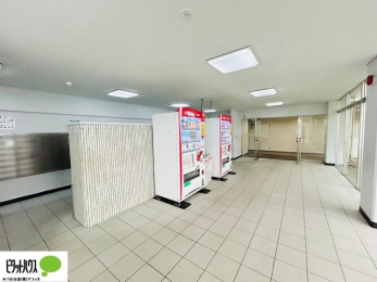 ���̑��@���r�[