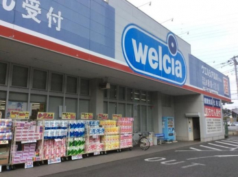 ���ӊ��@�E�G���V�A���/��t�����X �k��20���B 1580m