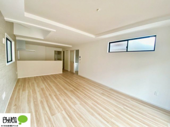 ���̑��@�J�������ӂ�鐁�������̂��郊�r���O