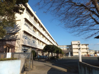 ���ӊ��@��t�s���������u�����w�Z �k��5���B 400m