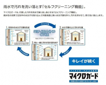 �o���R�j�[�@���[�X�y�[�X���L�x�ł��������L���g���܂��B