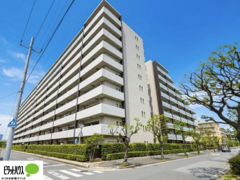 �O�ώʐ^�@�������܂����B�����w�͂��C�y�ɂ��⍇�����������܂��B