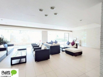 ���̑��@���r�[