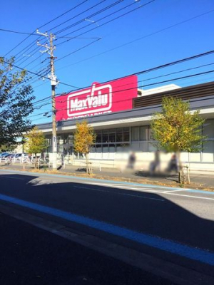 ���ӊ��@�}�b�N�X�o�����K�u���X �k��4���B 260m