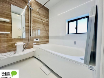 �����@�{�H��ʐ^�@�����������F���̗����ŁA1���̔��������������Ă��������B