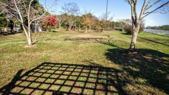 ���ӊ��@�t�[�h�v���U�n���V/�{�[�X �k��31���B 2460m