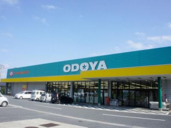 ���ӊ��@ODOYA������X �k��10���B 750m