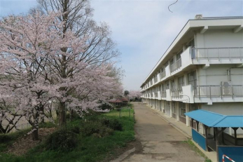 ���ӊ��@�N�Îs�����d�����w�Z �k��28���B 2190m