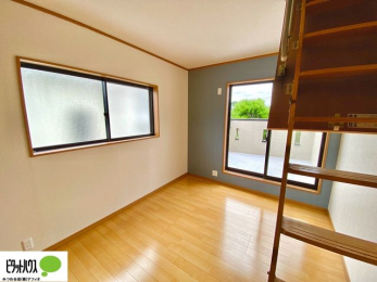 ���[�@�傫�ȑ����疾�邢�z�˂�������܂��B