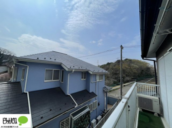 ���̑��@�o���R�j�[����̒��]�B