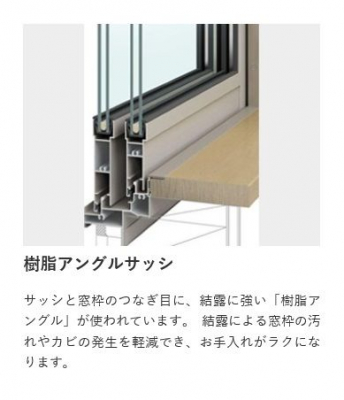 ���[�@�傫�ȑ����疾�邢�z�˂�������܂��B