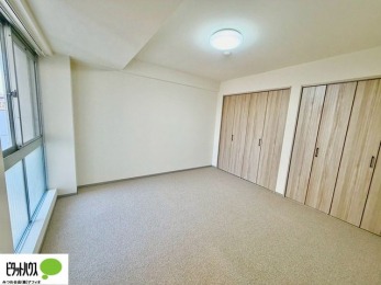 �Q���@�傫�ȑ����疾�邢�z�˂�������܂��B