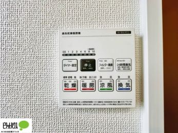 �����@�{�H��ʐ^�@�����������F���̗����ŁA1���̔��������������Ă��������B