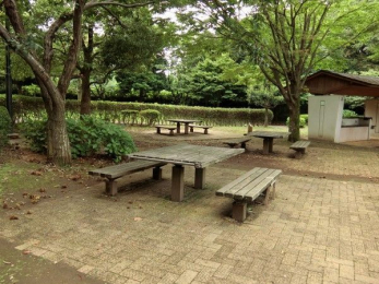 ���ӊ��@�����隬�������� �k��17���B 1300m