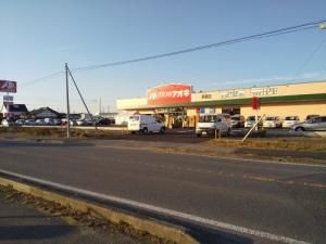 ���ӊ��@�N�X���̃A�I�L�����X �k��5���B 370m