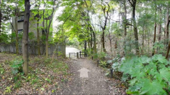 ���ӊ��@���䍪���c�̐X �k��10���B 780m