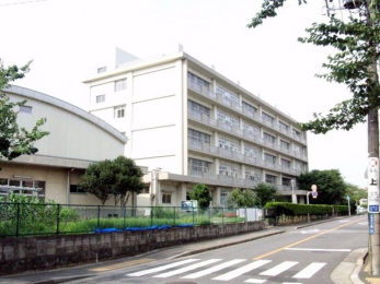 ���ʑ�E���ʏ��@�O�ʋ��̗���A�V���N���ȂǑ������[��������A�L�X�Ƃ������ʉ��ϑ�ł��B