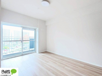 ���[�@�傫�ȑ����疾�邢�z�˂�������܂��B