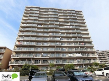 �O�ώʐ^�@�����w�͂��C�y�ɂ��₢���킹���������B