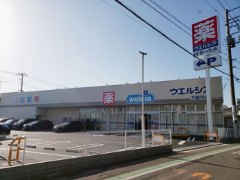 ���ӊ��@�E�G���V�A��t����X �k��6���B 430m