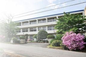 �L�b�`���@������ꂵ�₷��3���R�����B�����̎��ԒZ�k���ł��āA�X���[�Y�ɗ����ł��܂��B