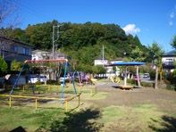 ���[�@�傫�ȑ����疾�邢�z�˂�������܂��B