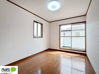 ���[�@�傫�ȑ����疾�邢�z�˂�������܂��B