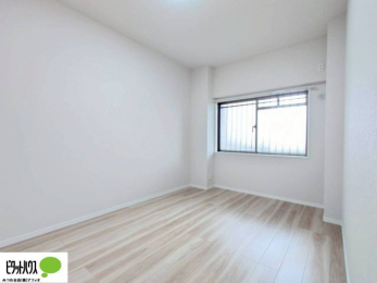 �Q���@�傫�ȑ����疾�邢�z�˂�������܂��B