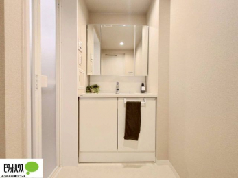 ���ʑ�E���ʏ��@�O�ʋ��̗���A�V���N���ȂǑ������[��������A�L�X�Ƃ������ʉ��ϑ�ł��B