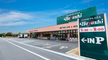 ���ӊ��@�t�[�h�v���U�n���V/�{�[�X �k��33���B 2640m