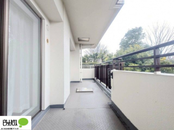 ���ց@�z������̗ǂ��L�X�o���R�j�[�B