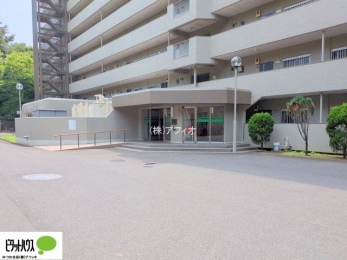 �G���g�����X�@�L�X�Ƃ������ꂢ�ȃG���g�����X