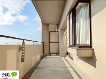 ���ց@�z������̗ǂ��L�X�o���R�j�[�B