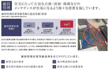 �o���R�j�[�@�N���[�[�b�g�́A�����E���s��������A��̒����ߗނ����N���N���[�\�ł�