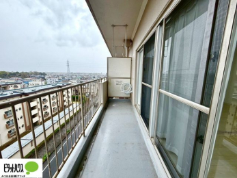 �o���R�j�[�@�z������̗ǂ��L�X�o���R�j�[�B