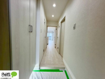 ���ց@���[�����Ղ�ł������ꂢ�Ȍ��ւ��B