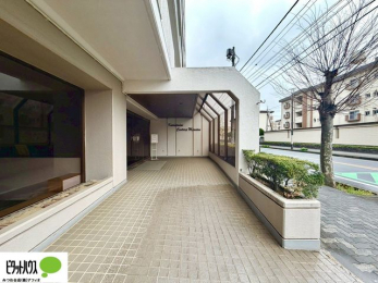 �G���g�����X�@�L�X�Ƃ������ꂢ�ȃG���g�����X