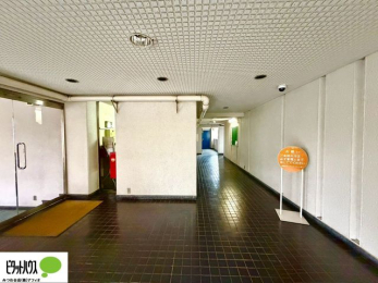 ���̑��@���r�[