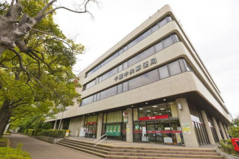 ���ʑ�E���ʏ��@�O�ʋ��̗���A�V���N���ȂǑ������[��������A�L�X�Ƃ������ʉ��ϑ�ł��B