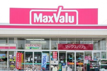 ���ӊ��@�}�b�N�X�o�����K�u���X �k��1���B 80m