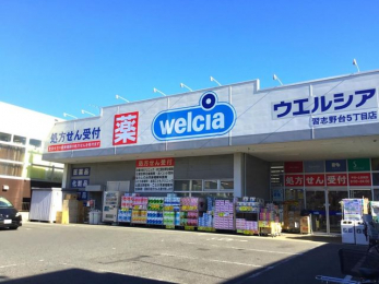 ���ӊ��@�E�G���V�A��ǏK�u���5���ړX �k��5���B 350m