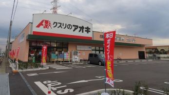 ���ӊ��@�N�X���̃A�I�L�Ԗ��X �k��6���B 410m