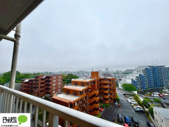 ���̑��@�o���R�j�[����̒��]�B