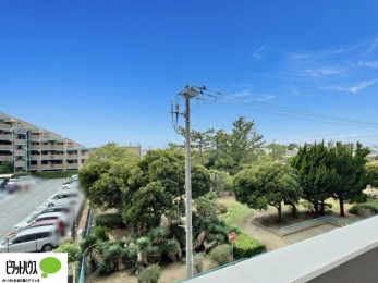 ���̑��@�o���R�j�[����̒��]�B