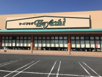 ���ӊ��@�t�[�h�v���U�n���V�����X �k��10���B 770m