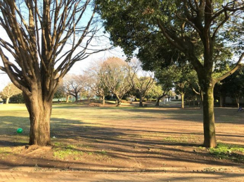 ���ӊ��@�_�c����� �k��7���B 520m