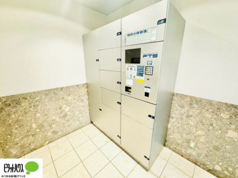 ���̑��@��z�{�b�N�X